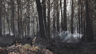 Skogsbranden i Älvdalen  torsdag 197 [upl. by Oicneserc]