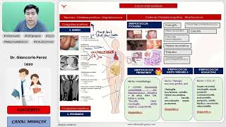 INFECCIONES BACTERIANAS PARTE 5  COCOS GRAM POSITIVOS  INFECTOLOGÍA  VILLAMEDIC [upl. by Bensky]