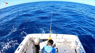 Wahoo and Marlin Fishing in Hawaii Deep Sea Fishing Oahu [upl. by Nnyled]