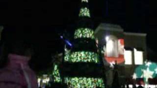 The Shops At Wiregrass Malls Christmas Light Show [upl. by Dahlstrom]