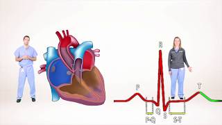 ECG for Beginners Understanding the waves of ECG P wave QRS complex [upl. by Menon546]