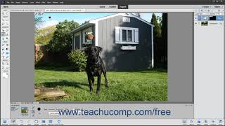 Photoshop Elements 2020 Tutorial The Smart Brush Tools Adobe Training [upl. by Wehttam]