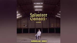 Salvatore Ganacci  Horse KERIMKAAN Remix [upl. by Greenebaum]