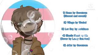 Transgender Playlist  mostly ftm but can be mtf too  my comfort playlist [upl. by Itsur74]