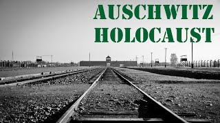 003 Zeuge Dr Hans Wilhelm Münch im Frankfurter AuschwitzProzess 02031964 [upl. by Aranaj]