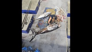 Offshore Fishing  Episode 13  Angry Swordfish and Big Eye Tuna onboard Derwent Venture [upl. by Nah910]