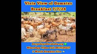 07 July 2024 Vista View of Gomatas Breakfast [upl. by Ateiram]