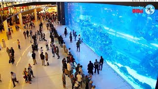 Dubai Mall World s largest Shopping Mall 2019 HD [upl. by Neerahs]