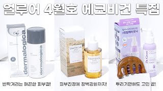 핫한 에코비건 순한 효소로 각질 진정 케어해주는 엔자임파우더추천  진정에 장벽까지 챙긴 앰플추천  두피 탈모고민 다 드루와 두피토닉추천  더말로지카 스킨1004 닥터그루트 [upl. by Winshell450]