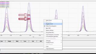 LabSolutions LCGC Workstation Basic Data Analysis [upl. by Blank]