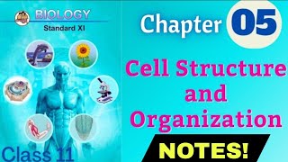 Cell Structure And Organization class 11 biology chapter 5 Notes [upl. by Elliot]