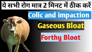 colic and impaction  Antizymotic  Forthy Bloat  Gaseous Bloat  Bloat Nill Liquid use hindi [upl. by River]