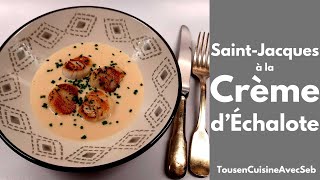 SAINTJACQUES à la CRÈME dÉCHALOTES Tous en cuisine avec Seb [upl. by Samalla]