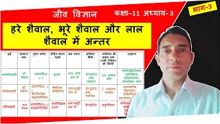 हरे  भूरे तथा लाल शैवाल में अन्तर  Comparison Between Chlorophyceae Phaeophyceae amp Rhodophyceae [upl. by Eimmij]