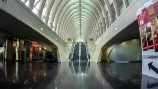 Time Lapse LiegeGuillemins Railway Station Belgium [upl. by Assira]