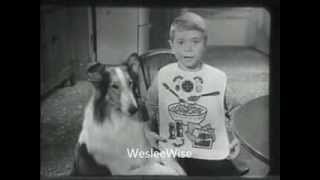 The Lost Lassie Dog Commercials [upl. by Ggerk]