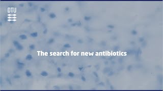 DTU The search for new antibiotics [upl. by Diann]