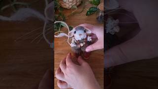 Little Hattie gets new clothes 🐭🌿✨️ stopmotion needlefelted cute [upl. by Leakcim800]