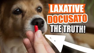 LAXATIVE for DOGS Sodium Docusate 🐶and What You Should Know [upl. by Dleifxam376]