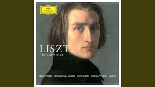 Liszt A Dante Symphony S109 2 Purgatorio [upl. by Ik]