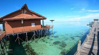 RESORT TERBAIK DI PULAU DERAWAN  DERAWAN DIVE RESORT BMI  BORNEO  INDONESIA [upl. by Harlamert]