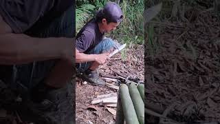 bushcraft build camp camping survival shelter wildlife skills lifehacks forest [upl. by Landry]