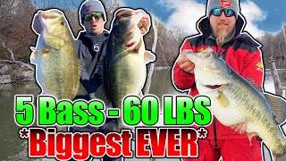 BIGGEST 5 Bass Limit EVER Caught on Film 60 POUNDS [upl. by Otreblanauj]