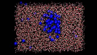 Molecular dynamics Hydrophobic effect [upl. by Nyrat]