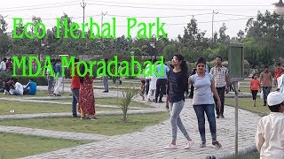 हरबल पार्क का मनमोहक नज़ारा  Eco Herbal Park  MDA Pakr Moradabad [upl. by Larrad586]