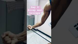 Bicep and Tricep Workout Day 9 in the Gym VLOG [upl. by Hurlbut]