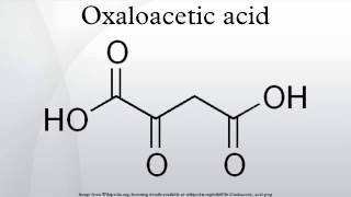 Oxaloacetic acid [upl. by Yerhcaz]