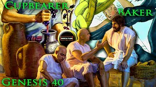 Joseph interprets the Cupbearer and the Baker dreams  Genesis 40  Egypt  Pharaoh  Prison [upl. by Zerline222]