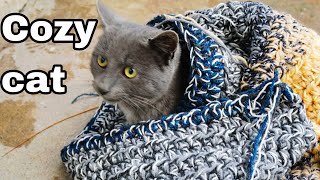 I made my cat a blanket using scrap yarn [upl. by Barta]