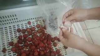 longan Lychee litchi seeds pit core removing machine [upl. by Norraa138]