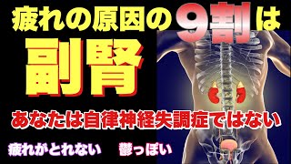 副腎の疲れをとる方法とマッサージ！『疲れがとれない原因は副腎が９割』 [upl. by Felic]