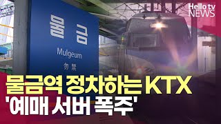 첫 예매일 서버 폭주 13년 만에 물금역 정차하는 KTXㅣ헬로tv뉴스 [upl. by Tera529]