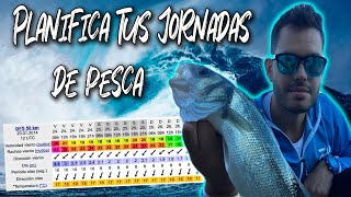 ▶TUTORIAL WINDGURU🌊 Planifica tu JORNADA de PESCA LUBINAS a SPINNING desde costa [upl. by Deirdre770]