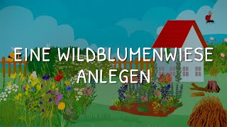 NABUTipp Eine Wildblumenwiese anlegen [upl. by Bratton]