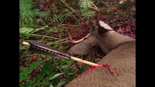 Primitive Archery Hunting for Deer Otzi Arrow Ishi Arrow Traditional Bowhunting [upl. by Alat274]