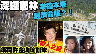 深經簡林掌控本港經濟命脈？！解開許金山瑜伽球殺人之謎！〈玄緣學會〉 主持 周法緣 19112024 [upl. by Olimac]