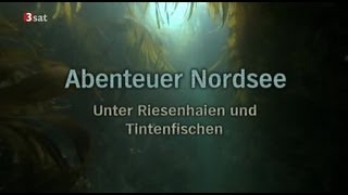 Abenteuer Nordsee  GERMAN DOKU [upl. by Ashia]