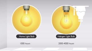 Incandescent and Halogen Lamps [upl. by Ik20]