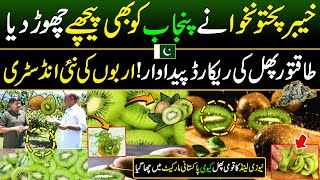 KPK Made a New Record After Punjab  KIWI Cultivation in Pakistan  Discover Pakistan [upl. by Gnex28]