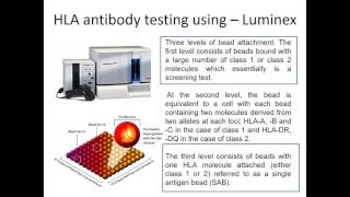 Immunological assissment of KTX [upl. by Kamillah]