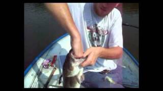 Chatterbait Tips For Big BassFun Fishing at A Private Lake [upl. by Jahn300]