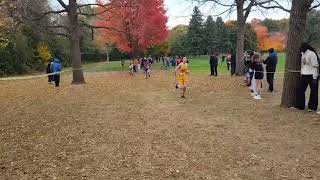 Jordans City Cross Country end of the line  Sunnybrook Park Oct 252024 33 [upl. by Erdah962]