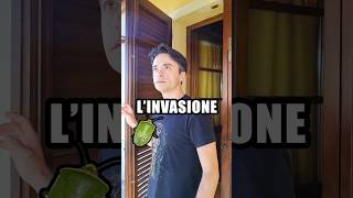 Linvasione 😳 [upl. by Masson]