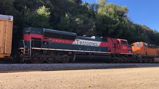 Ferromex SD70ACe on BNSF V CLORIC at Glen Frazer [upl. by Ewan941]