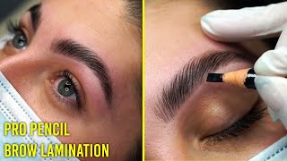 Follow along Brow Lamination tutorial for all eyebrow types Pro Pencil [upl. by Weikert378]