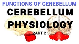 Cerebellum Physiology Part 2 [upl. by Telford7]